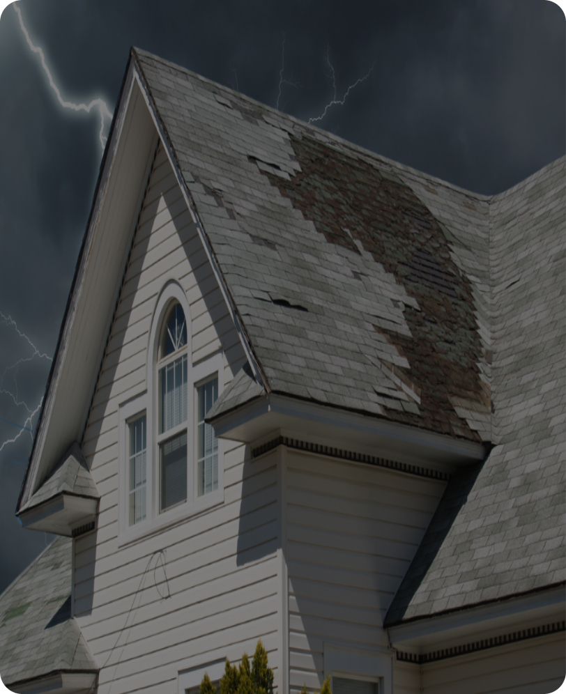 Hail damage, next morning