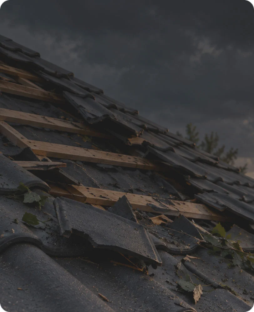Hail damage, next morning